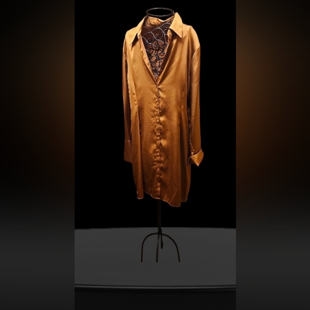 Ambercrombie & Fitch Sleek  Button-Up Dress